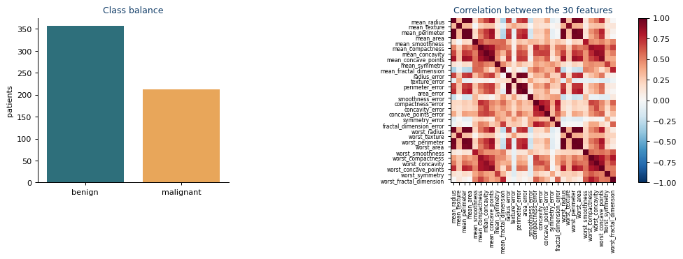 Class distribution and feature correlations in the Breast Cancer Wisconsin dataset.