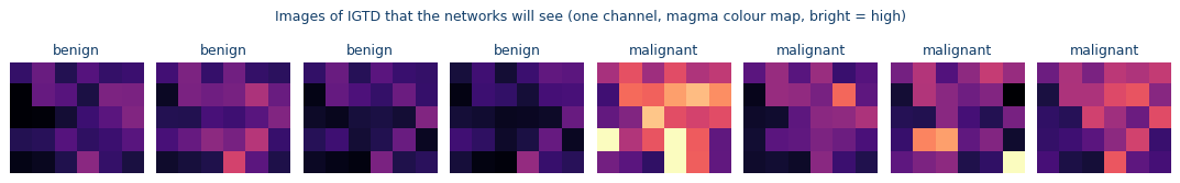 Eight training examples encoded using IGTD. The magma palette is used for visualization; the networks receive single-channel numerical images.