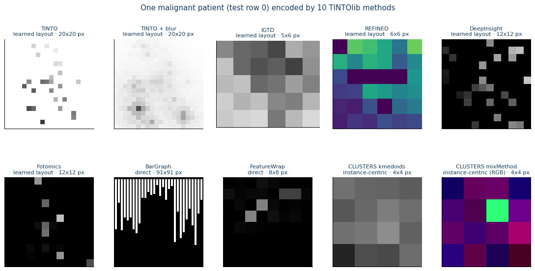 One held-out observation represented with ten different TINTOlib methods. The plotted outputs are taken directly from the supplied notebook.