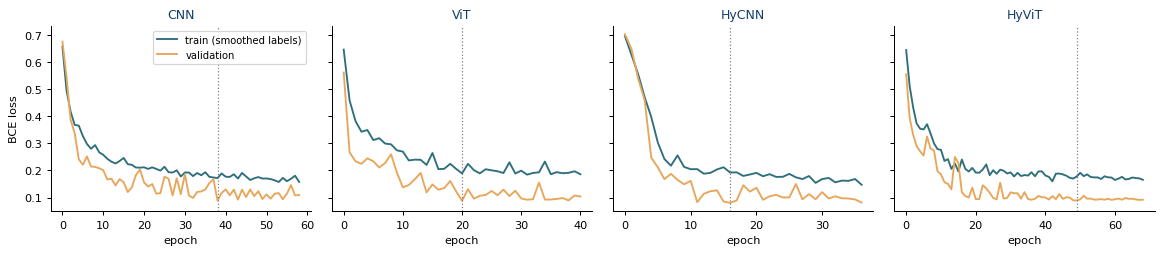 CNN, ViT, HyCNN and HyViT training histories on one split. These curves are an initial demonstration rather than a reliable performance estimate.