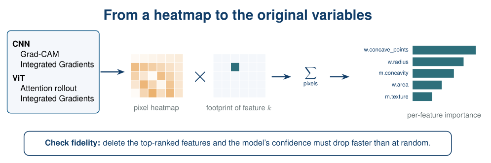 From heatmaps to variables