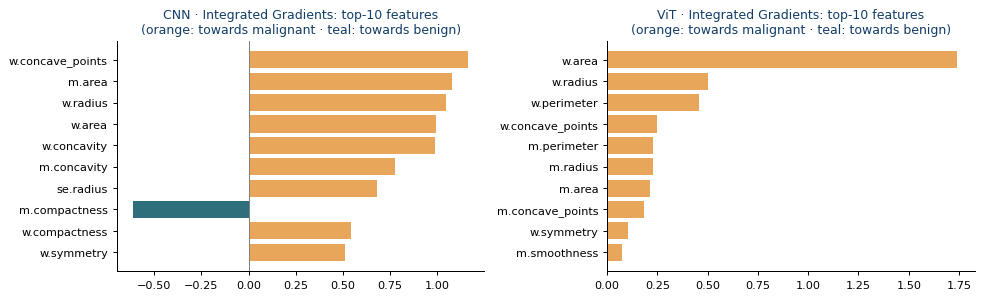 Feature-level attributions derived from local explanation maps, using the image-to-variable correspondence.